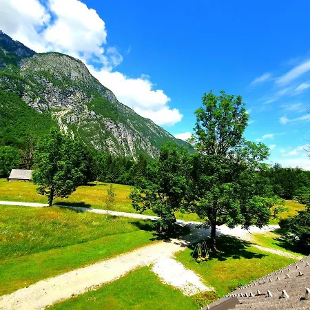 Apartmaji Zupanc Ivanka *