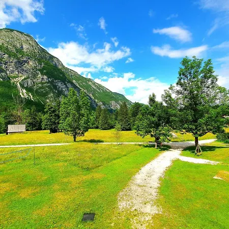 Apartmaji Zupanc Ivanka * Bohinj