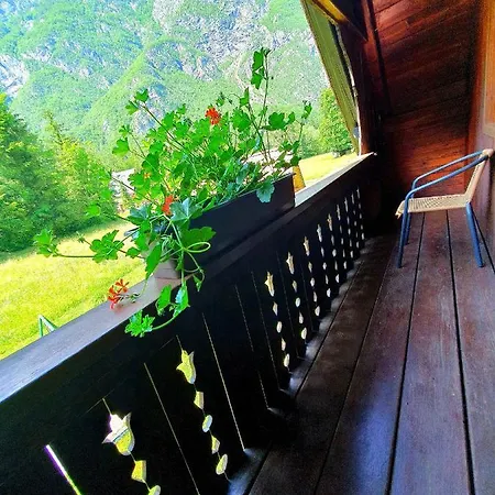 Apartmaji Zupanc Ivanka *