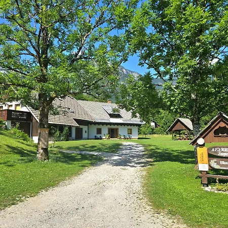 Star - Ivanka Bohinj