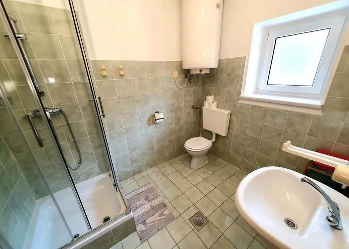 Apartmaji Zupanc Ivanka 博希尼